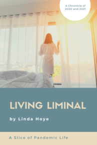 Living Liminal: A Slice of Pandemic Life