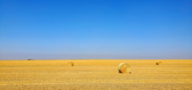 Harvest